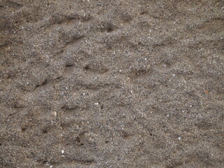 footprint in sand