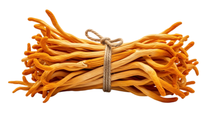 Bundle of dried cordyceps mushrooms tied with twine isolated on transparent background