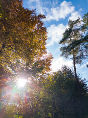 Fototapete bei efototapeten.de bestellen   