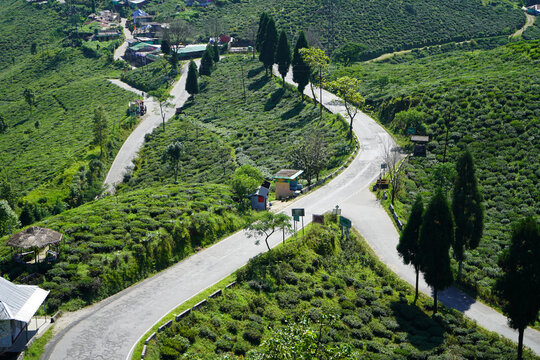 Angle View of Winding Mountain Road Junction and Small Village in Tea Plantation at Darjeeling Mirik