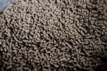 Premium Fish Feed Pellets in Hands – Aquaculture Nutrition