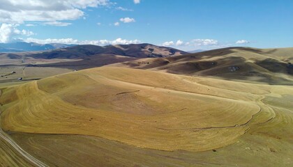 Aerial View of Amber Wheat Fields in Rolling Hills