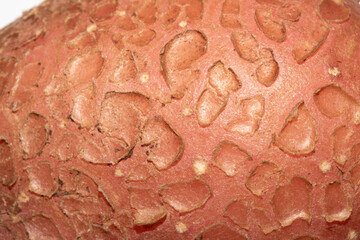 Abstract close up of potato natural vegetable flaky skin