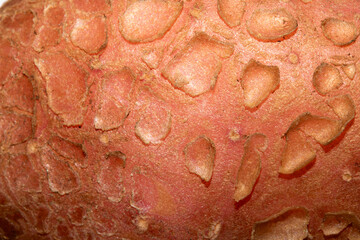 Abstract close up of potato natural vegetable flaky skin