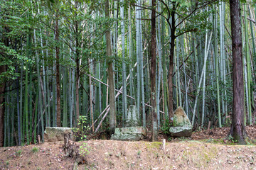 日本の岡山県総社市の吉備路のとても美しい秋の風景