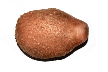 Potato grown in the garden with flaky skin scab fungus natural on white background
