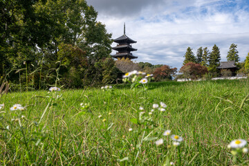 日本の岡山県総社市の吉備路のとても美しい秋の風景