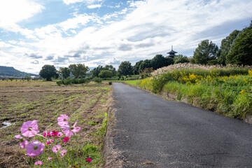 日本の岡山県総社市の吉備路のとても美しい秋の風景