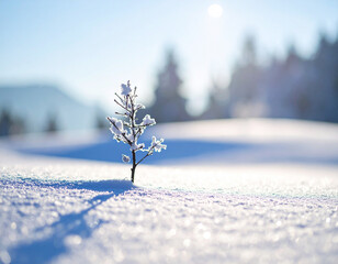 Shadow of a small tree with snowflakes sparkling around, 