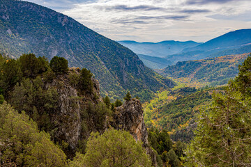 Vibrant mountain landscape covered with lush green and yellow autumn trees.The view captures the natural beauty of the forested hills under soft daylight, showcasing the peaceful harmony of nature