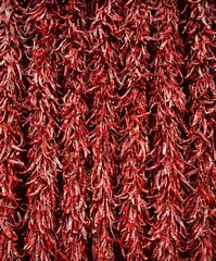 Fototapeta premium dried red hot chili peppers 
