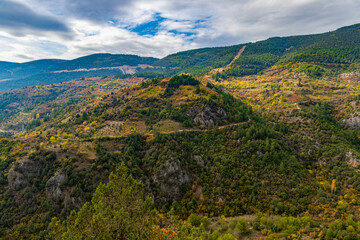 Vibrant mountain landscape covered with lush green and yellow autumn trees.The view captures the natural beauty of the forested hills under soft daylight, showcasing the peaceful harmony of nature