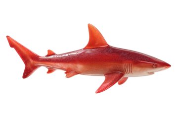 Stylized reef shark in coral-red tone with soft matte sheen and sculpted fin detail, isolated on transparent background
