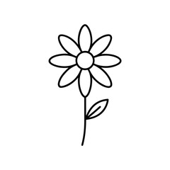 Simple line drawing of a daisy with a single leaf on transparent background