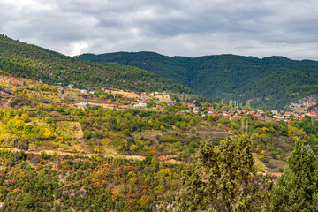 Obraz premium vineyard in the provence