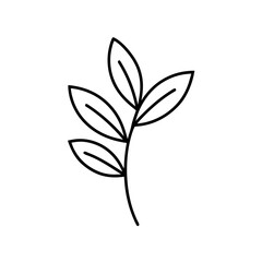 Simple line drawing of a leafy branch illustration on transparent background
