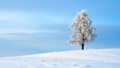 Lone Winter Tree on Snowy Dune Minimalist Landscape