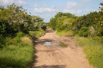 Pov of natural trails  in Río Lagartos Biosphere natural park on Mexico's Yucatan Peninsula.