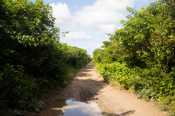 Pov of natural trails  in Río Lagartos Biosphere natural park on Mexico's Yucatan Peninsula.