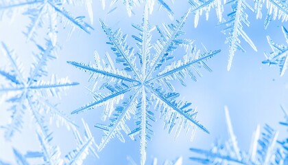 Close Up of Radial Ice Crystals Snowflake Macro Photography