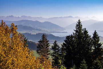 Waldst&uuml;ck am Etzel, nahe Rapperswil