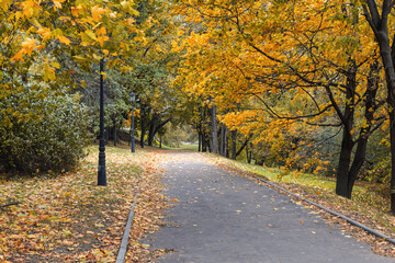 Autumn Alley of Kolomenskoye Park, Moscow