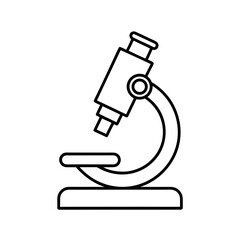 A single red apple isolated on transparent background