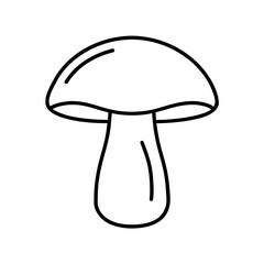 A single red chili pepper isolated on transparent background