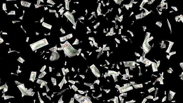 doller united state design