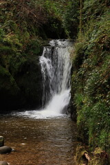 Herbst-Bilder aus dem Nordschwarzwald