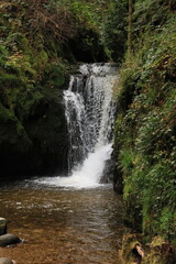 Herbst-Bilder aus dem Nordschwarzwald