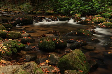Herbst-Bilder aus dem Nordschwarzwald