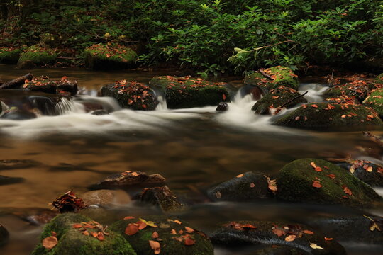Herbst-Bilder aus dem Nordschwarzwald