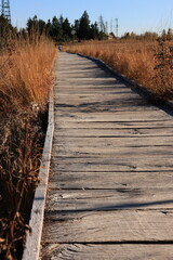 Herbst-Bilder aus dem Nordschwarzwald