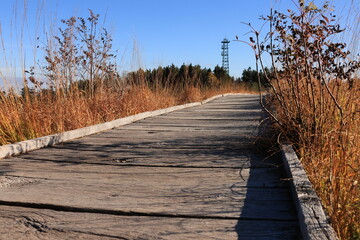 Herbst-Bilder aus dem Nordschwarzwald