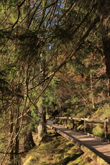 Herbst-Bilder aus dem Nordschwarzwald