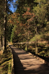 Herbst-Bilder aus dem Nordschwarzwald