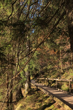 Herbst-Bilder aus dem Nordschwarzwald