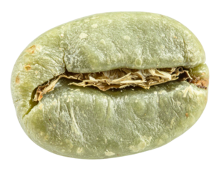 Green coffee beans for healthy drinks, organic raw arabica seeds, fresh unroasted caffeine source