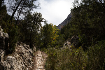parque