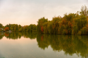 Obraz premium lake in autumn