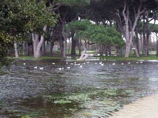 fountain in the park