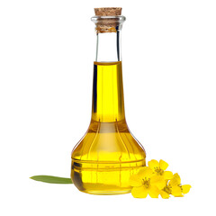 Canola oil bottle isolated on white background