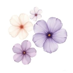 Floral Harmony: An elegant arrangement of delicate flowers, each petal meticulously rendered to showcase a spectrum of subtle colors and textures, creating a sense of floral harmony.