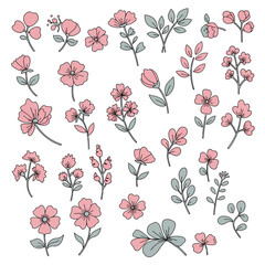 Full vector set of modern botanical illustrations with charming hand-drawn pink flowers and elegant grey leaves, isolated for decorative design elements