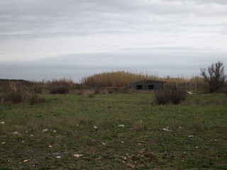 morning in the mountains