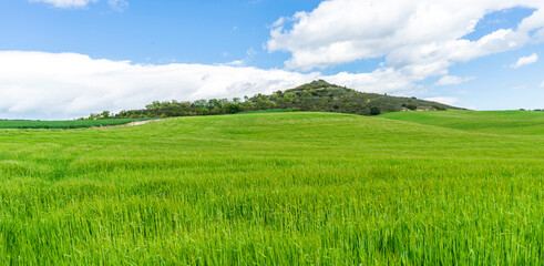 Green meadow in the mountains of Navarra. Spain