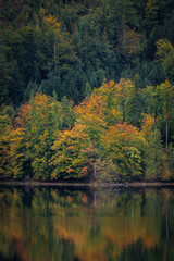 Autumn at the lake - colorful trees reflected in the water