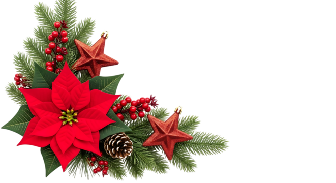 Christmas corner decoration with poinsettia fir and stars isolated on transparent background