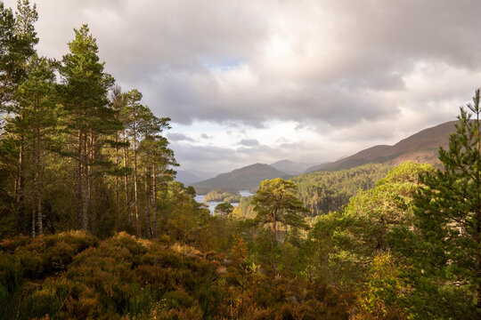 View above Coire Loch, near Dog Falls, in the Scottish Highlands - Powered by Adobe